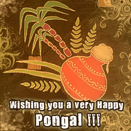 Pongal
